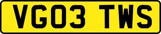 VG03TWS