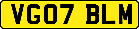 VG07BLM