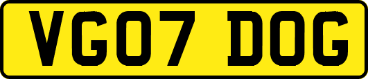 VG07DOG