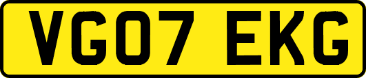 VG07EKG