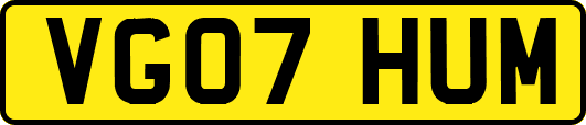 VG07HUM