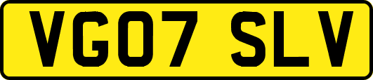 VG07SLV