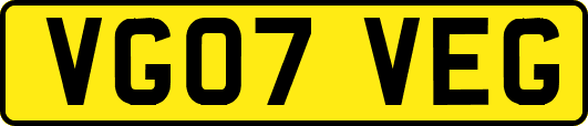 VG07VEG
