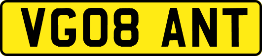 VG08ANT