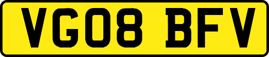 VG08BFV