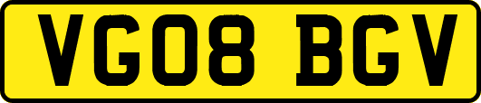 VG08BGV