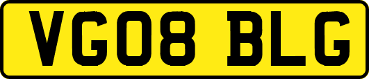 VG08BLG