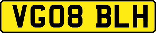 VG08BLH