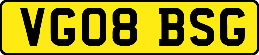 VG08BSG