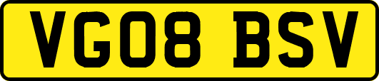 VG08BSV