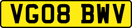 VG08BWV