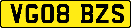 VG08BZS