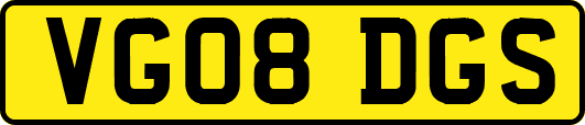 VG08DGS