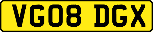 VG08DGX
