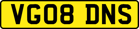 VG08DNS