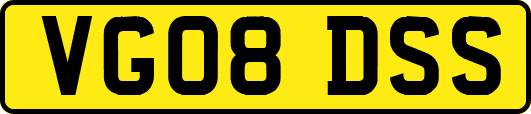 VG08DSS