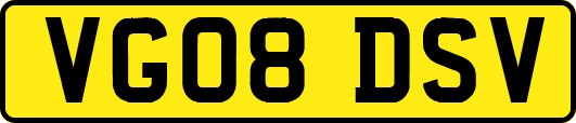 VG08DSV