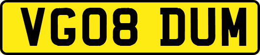 VG08DUM