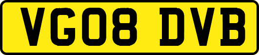 VG08DVB