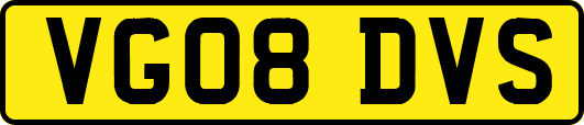 VG08DVS