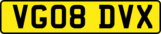 VG08DVX