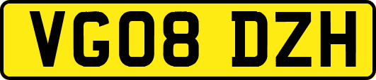 VG08DZH