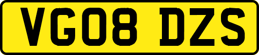 VG08DZS