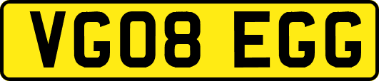 VG08EGG