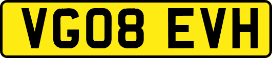 VG08EVH