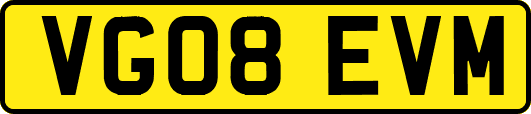 VG08EVM