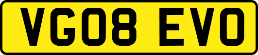 VG08EVO