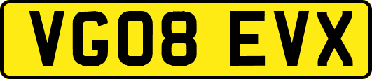VG08EVX
