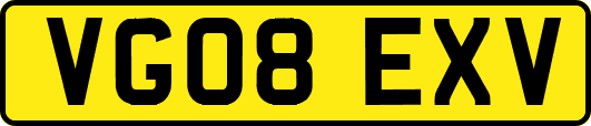 VG08EXV