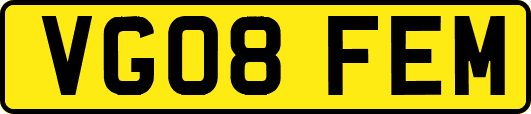 VG08FEM