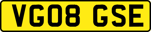 VG08GSE