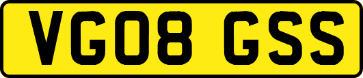 VG08GSS