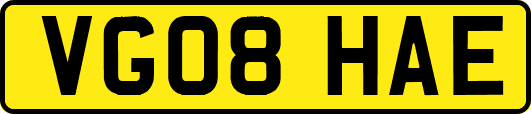 VG08HAE