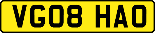 VG08HAO