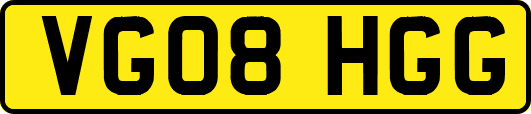 VG08HGG