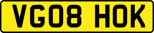 VG08HOK
