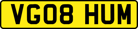 VG08HUM