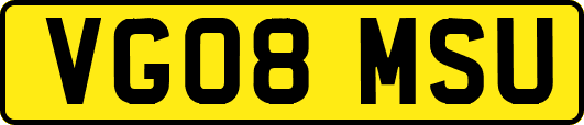 VG08MSU