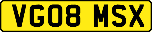 VG08MSX