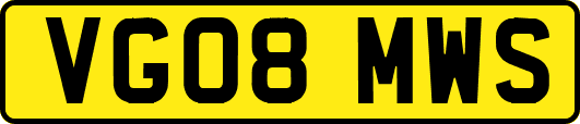 VG08MWS