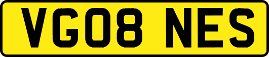 VG08NES