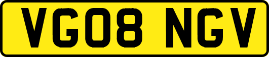 VG08NGV