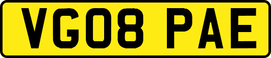 VG08PAE