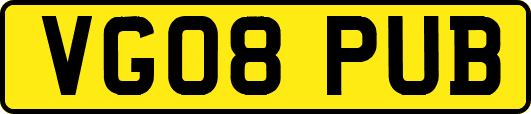 VG08PUB