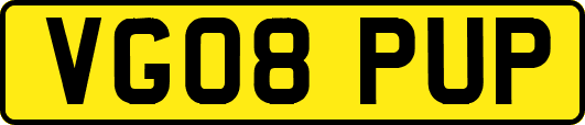VG08PUP