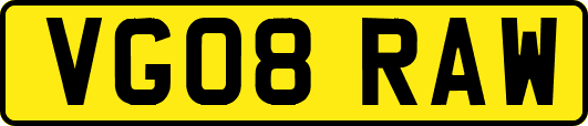 VG08RAW